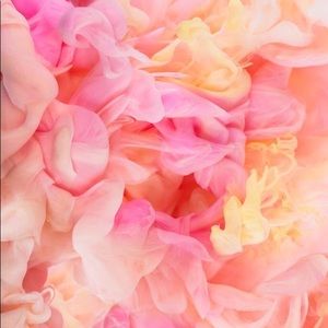 Meet your Posher, Jaritza